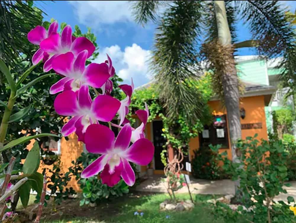 Buccaneer Beach Club Дикенсон-Бей Экстерьер фото