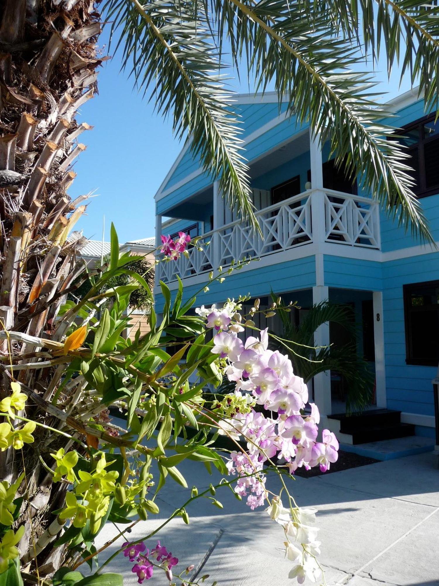 Buccaneer Beach Club Дикенсон-Бей Экстерьер фото