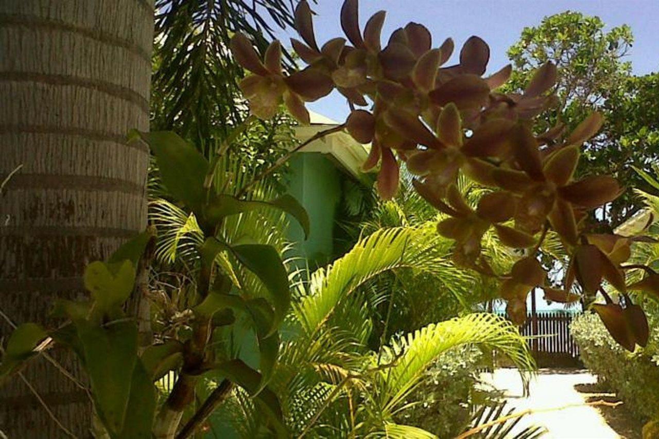 Buccaneer Beach Club Дикенсон-Бей Экстерьер фото